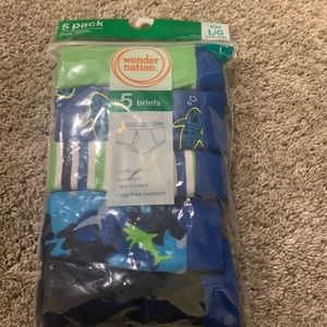 NWT boys size large (10-12) underwear brief style.
